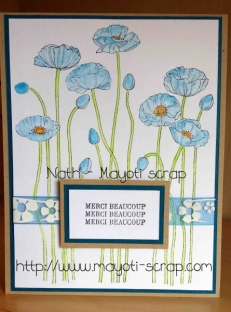 Merci - Coquelicots bleus