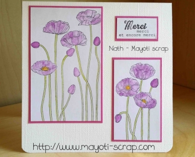 Merci - Coquelicots mauves