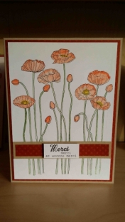 Merci - Coquelicots orange