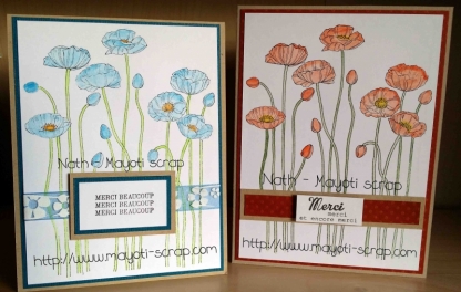 Merci - Coquelicots bleus et orange