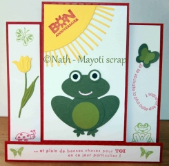 Carte anniversaire - Grenouille